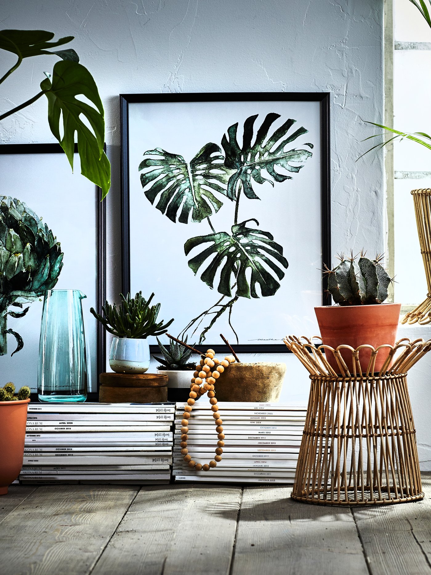 Plant stands & movers​ in a room lit by the light from the window.
