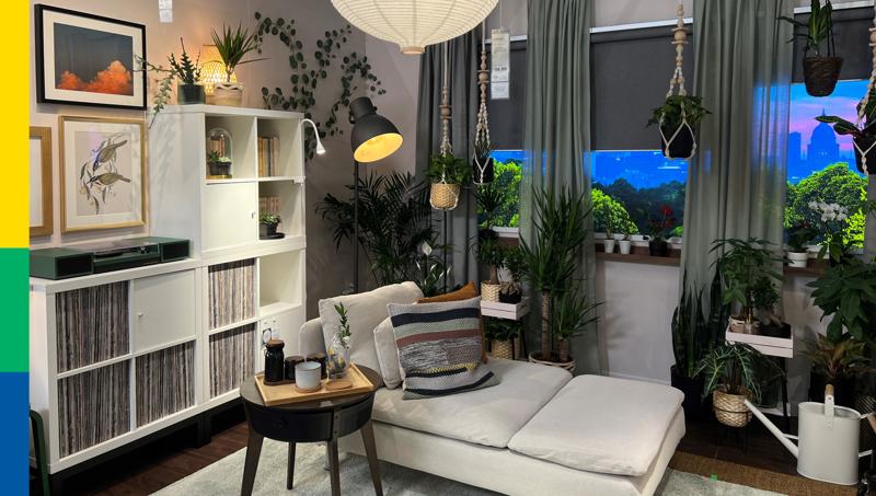 Are Dogs Allowed In Ikea Texas