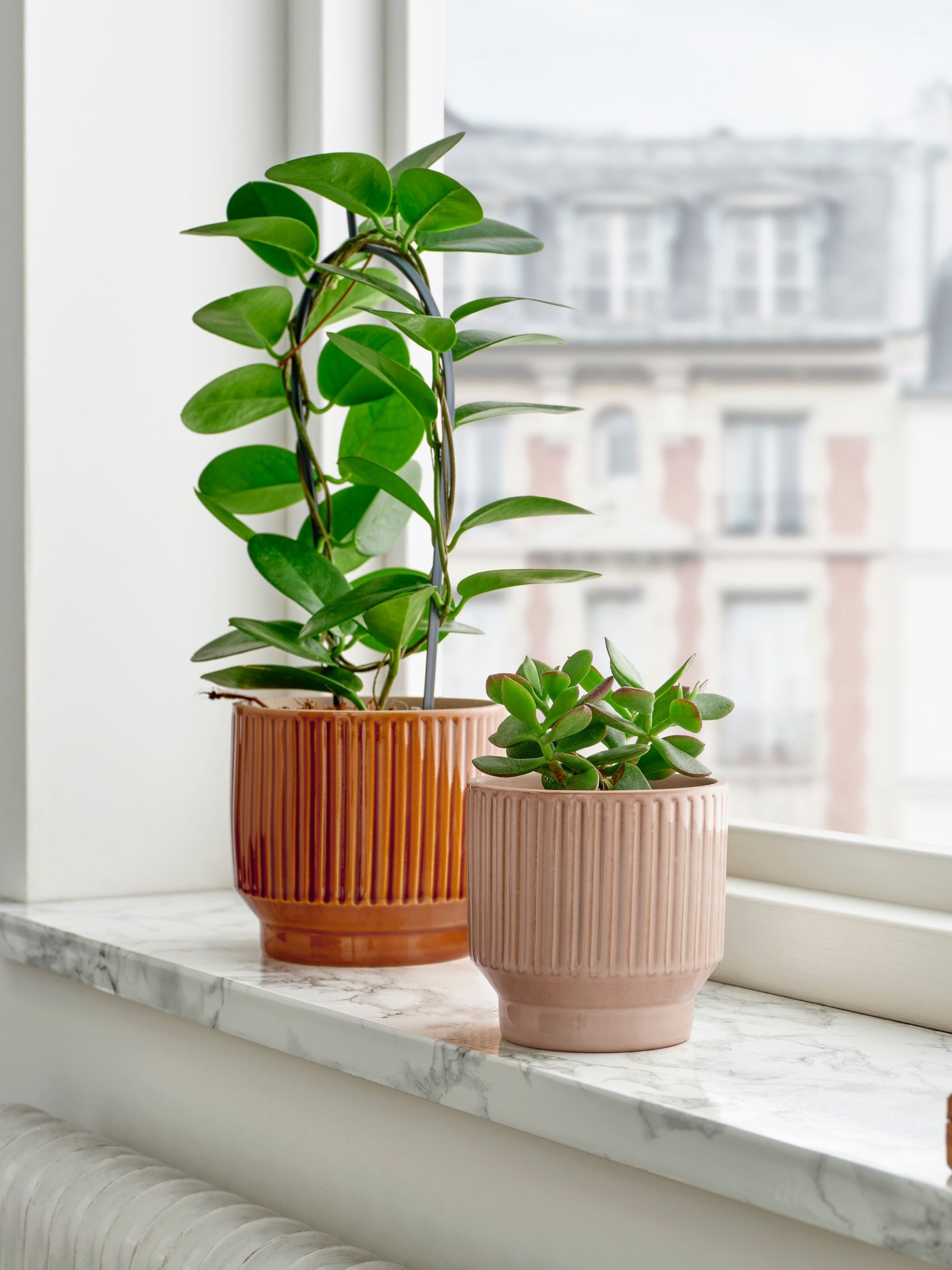 An in/outdoor/beige HONUNGSPALM plant pot