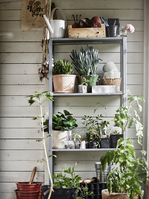 Outdoor area with pots made of clay and steel, watering can, shelving unit, green houseplants and a box with gardening tools.