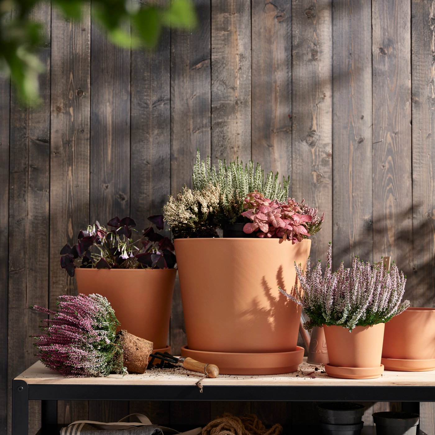 An outdoor terracotta BRUNBÄR plant pot with saucer