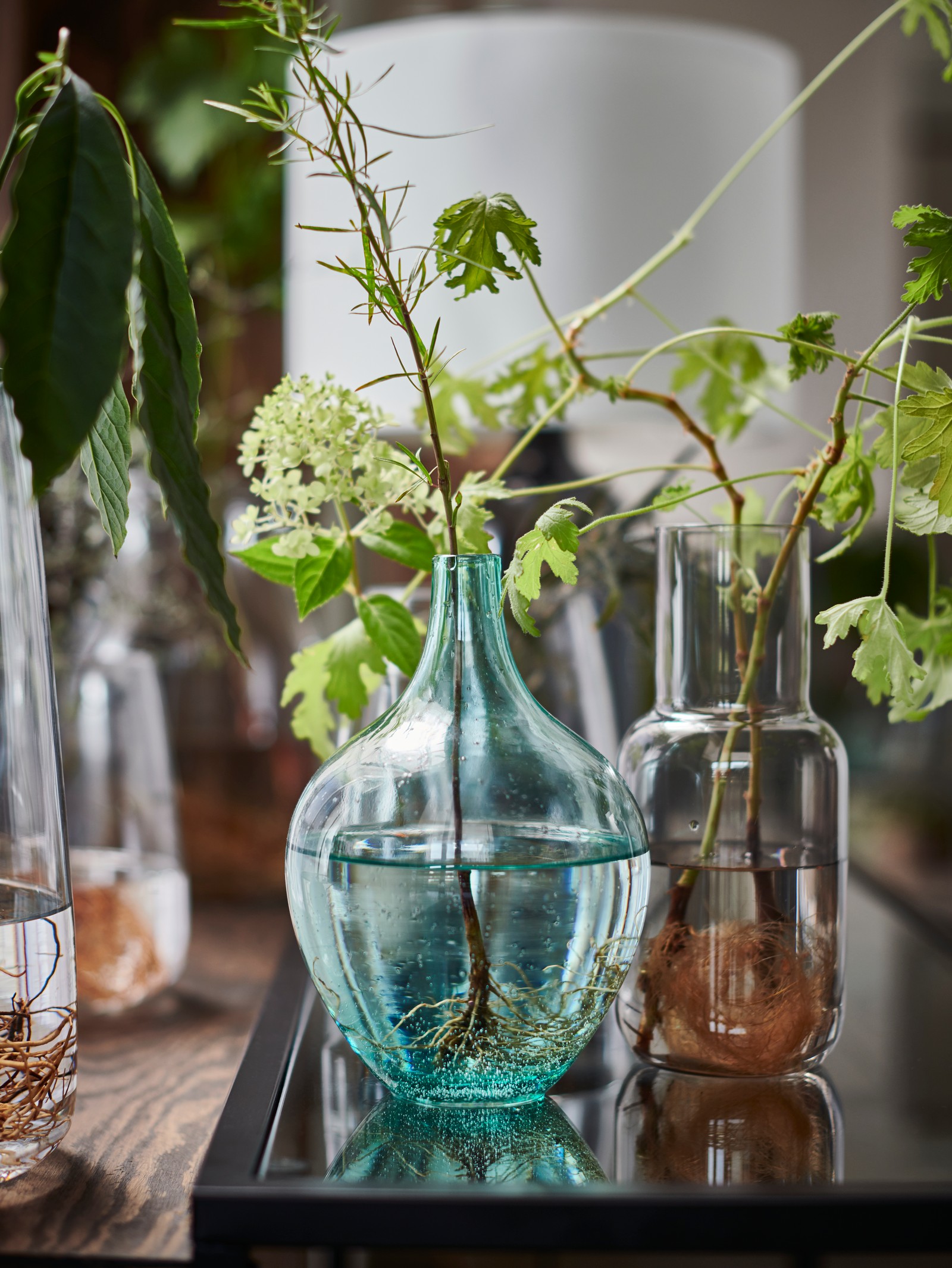Vases et coupes IKEA