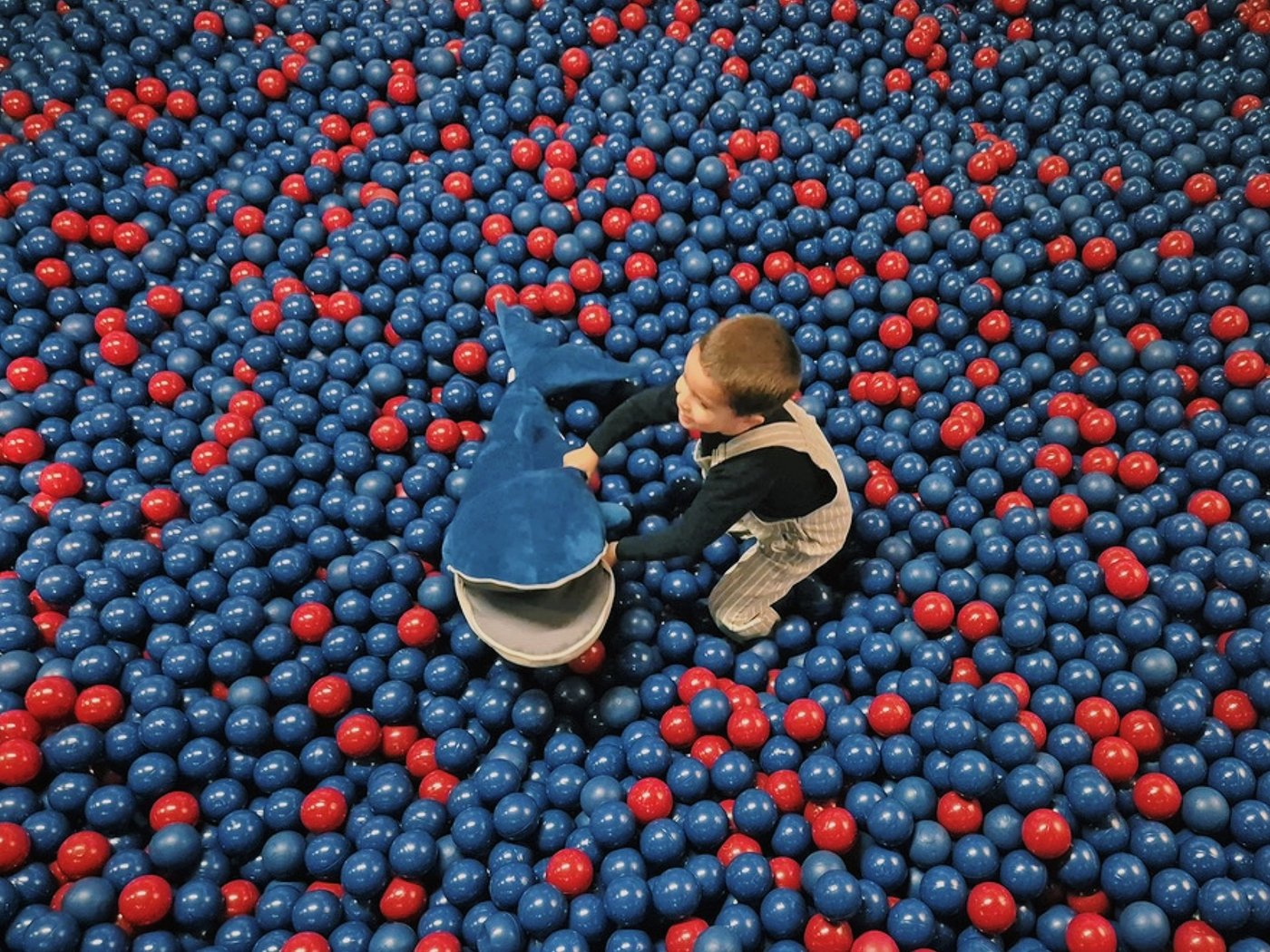 Child in a ball pool with a soft toy shark