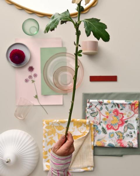 Ein Video in dem Neuheiten mit bunten Farben vorgestellt werden