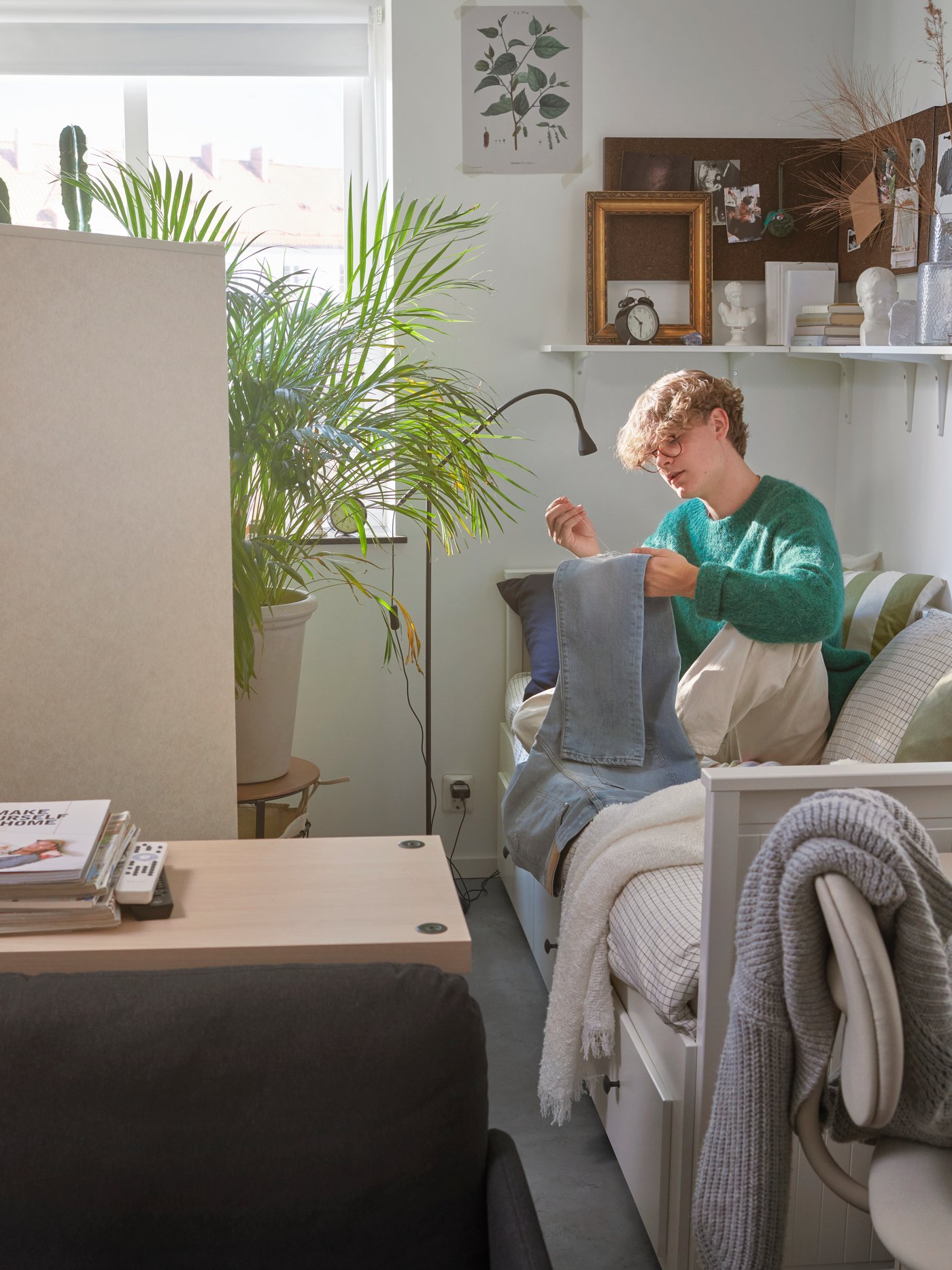 Un estudiante está sentado en un diván HEMNES en un dormitorio. Una palmera y un estante BURHULT con marcos y libros encima.