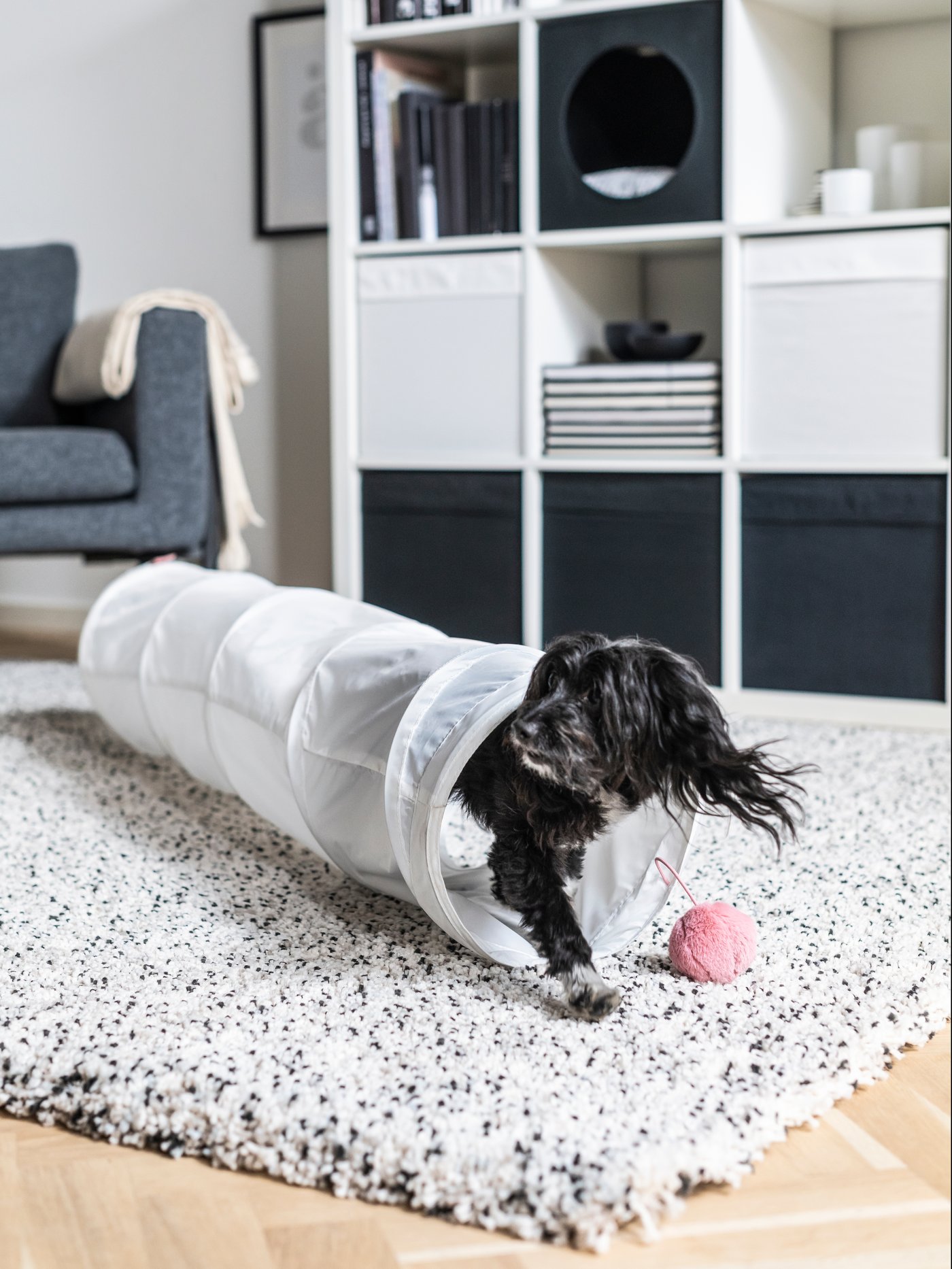 Pet Accessories & Furniture IKEA CA