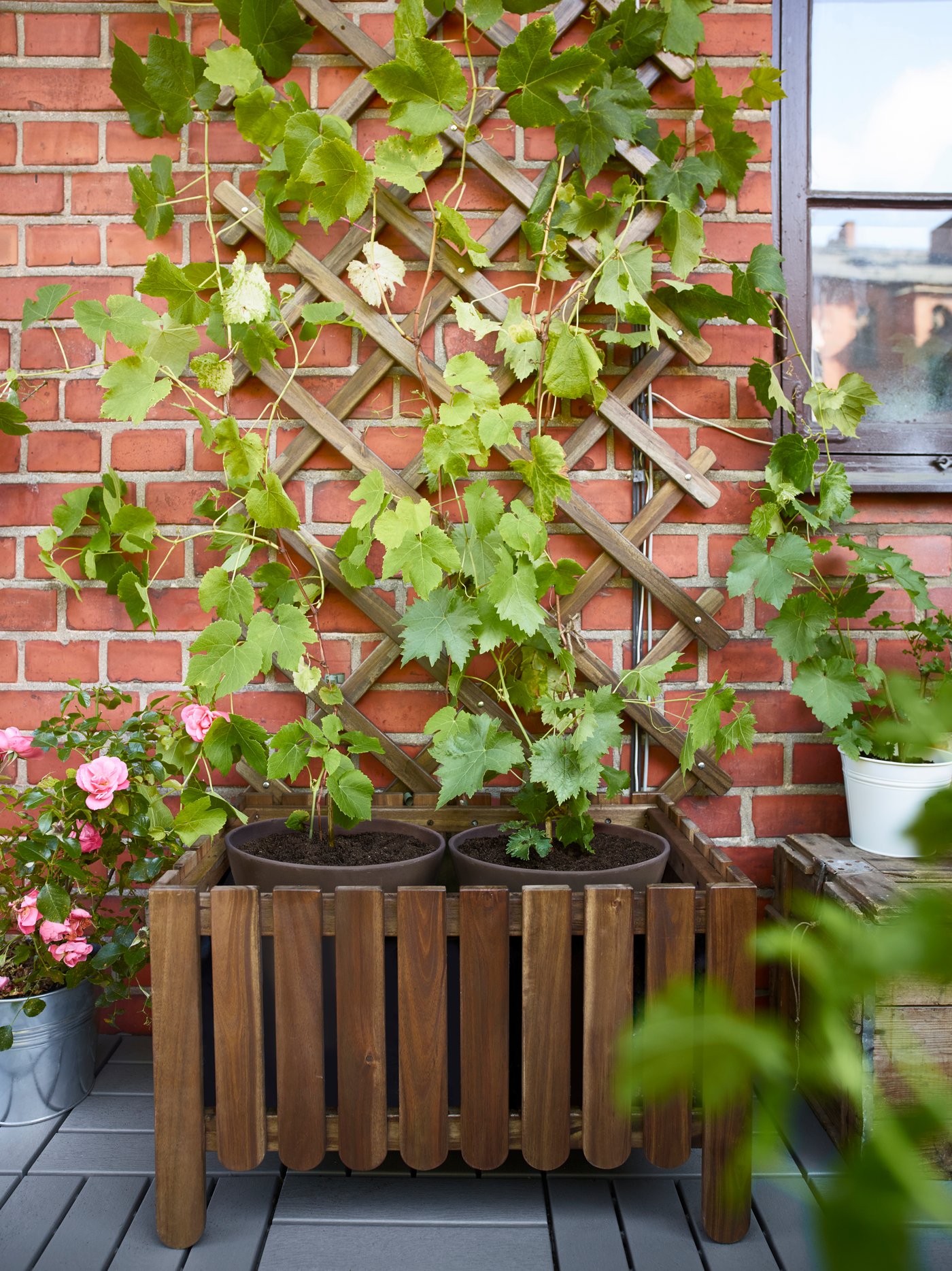 An  ASKHOLMEN plant trellis
