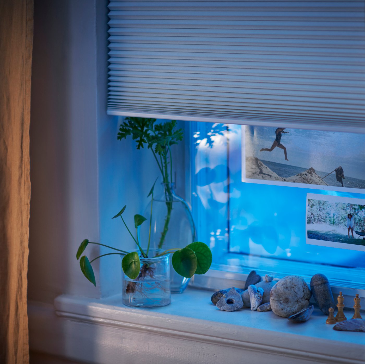 A person's hand holding a remote controle of TREDANSEN block-out cellular blind which is shown on a background hanged on a bedroom's window.
