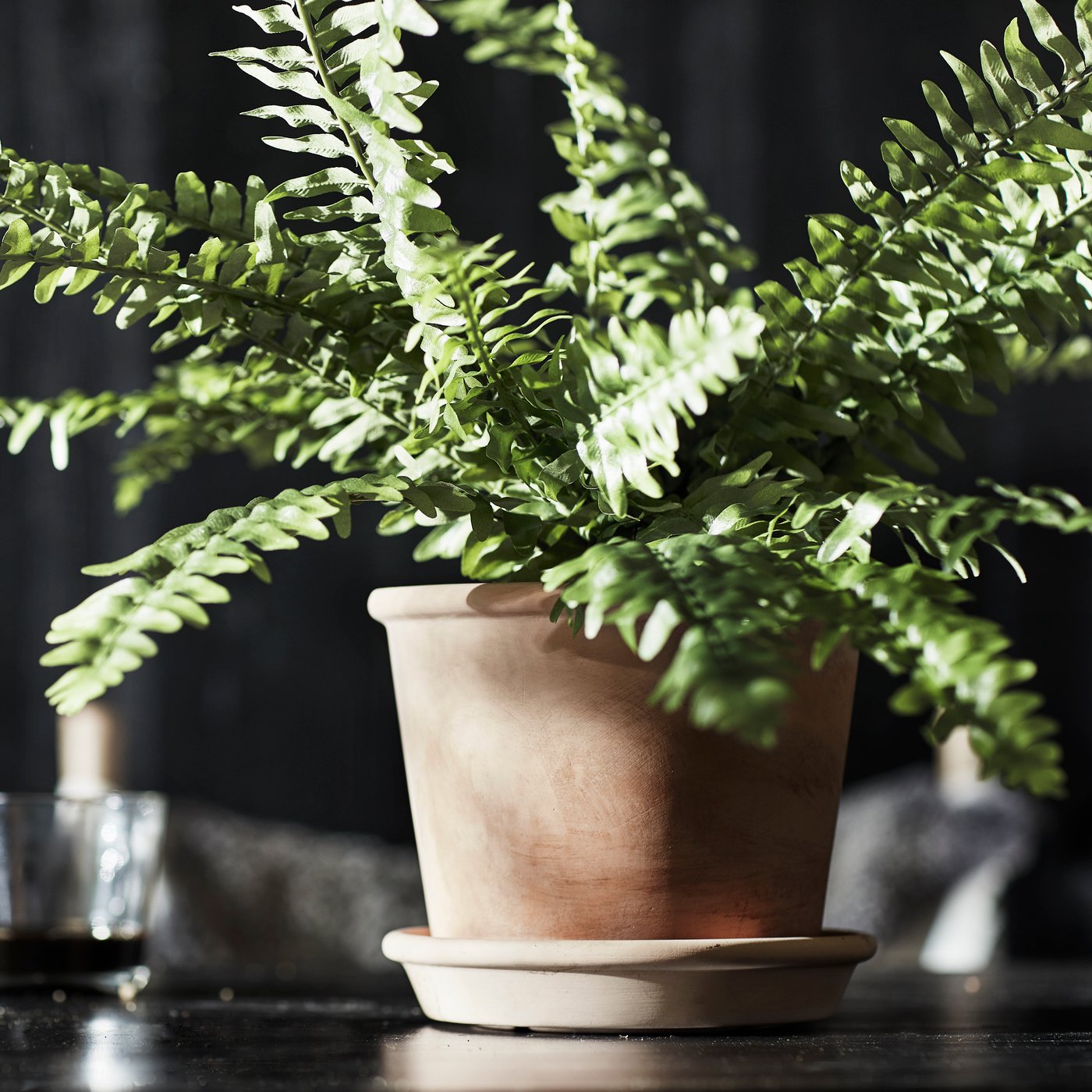 Barruko/kanpoko terrakotazko MUSKOTBLOMMA landareontzia platertxo batekin