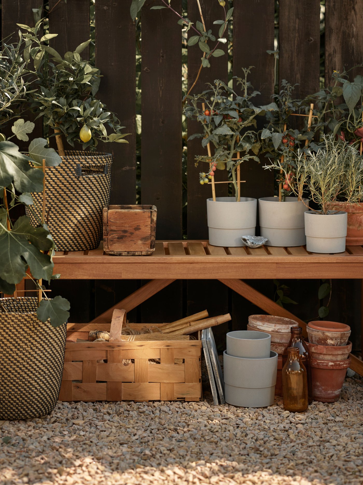 Kvetináče so zasadenými rastlinami na lavičke.