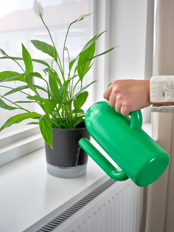 A bright green ÄRTBUSKE vase/watering can