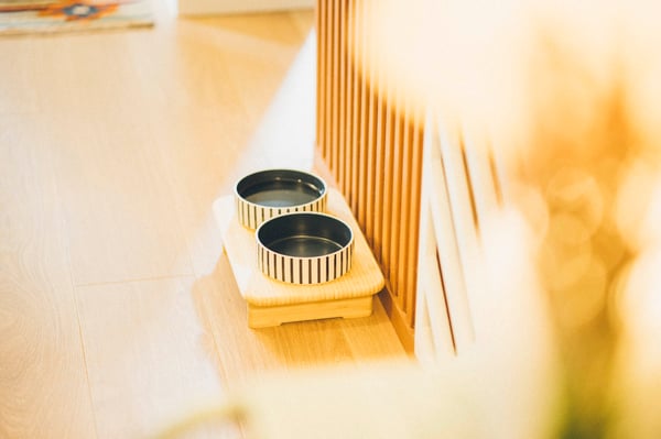 ペットのお皿もIKEAの商品を使用。