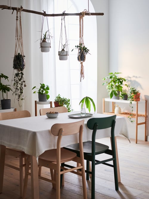 Dining room featuring a rectangular table with 4 chairs made of solid birch placed next to 2 beige plant stands and a black chair.