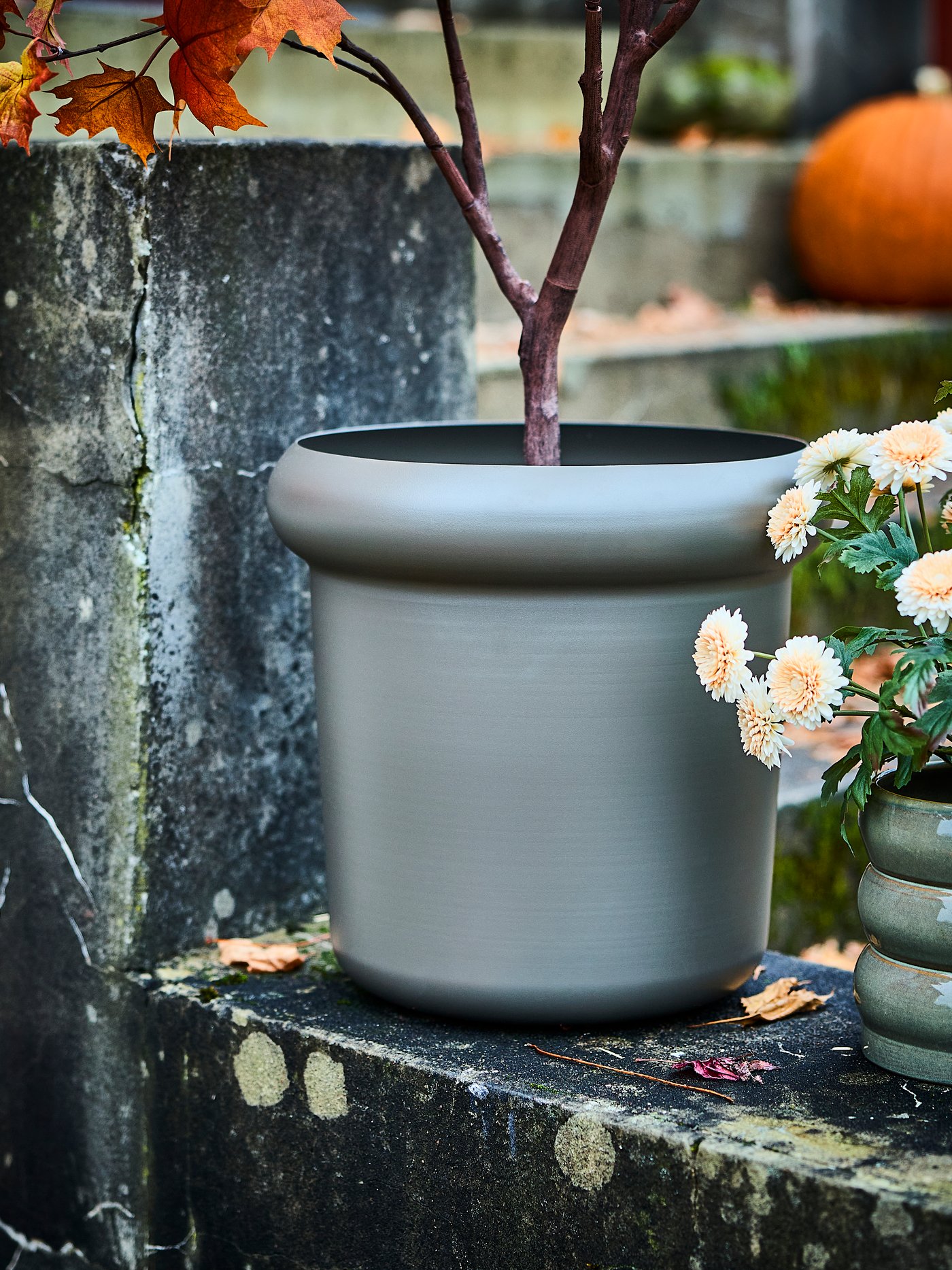 FEJKA artificial potted plant—chrysanthemums, light orange, suitable for both indoor and outdoor use, placed in the dining room
