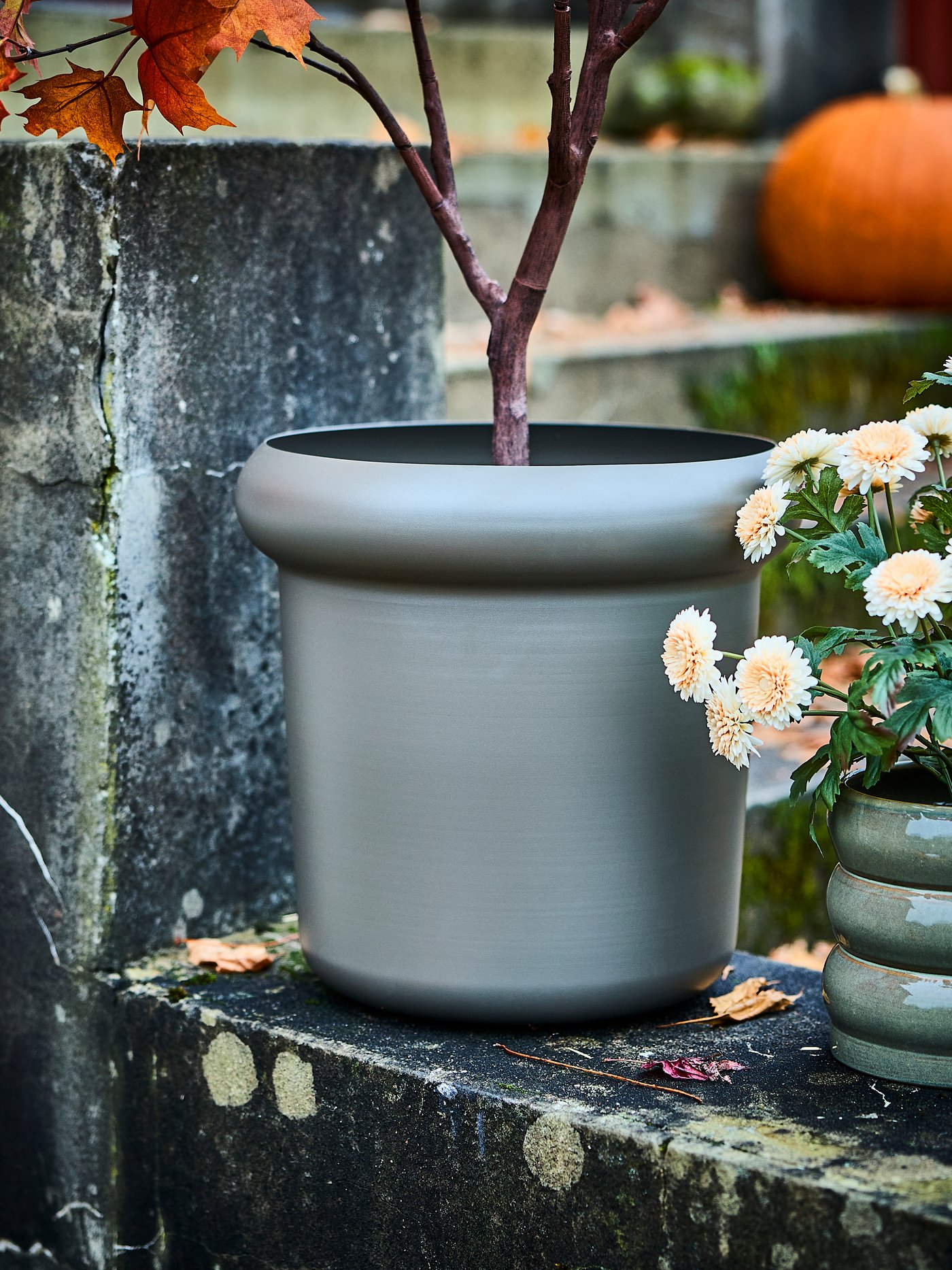An in/outdoor/Chrysanthemums light orange FEJKA artificial potted plant in the dining room