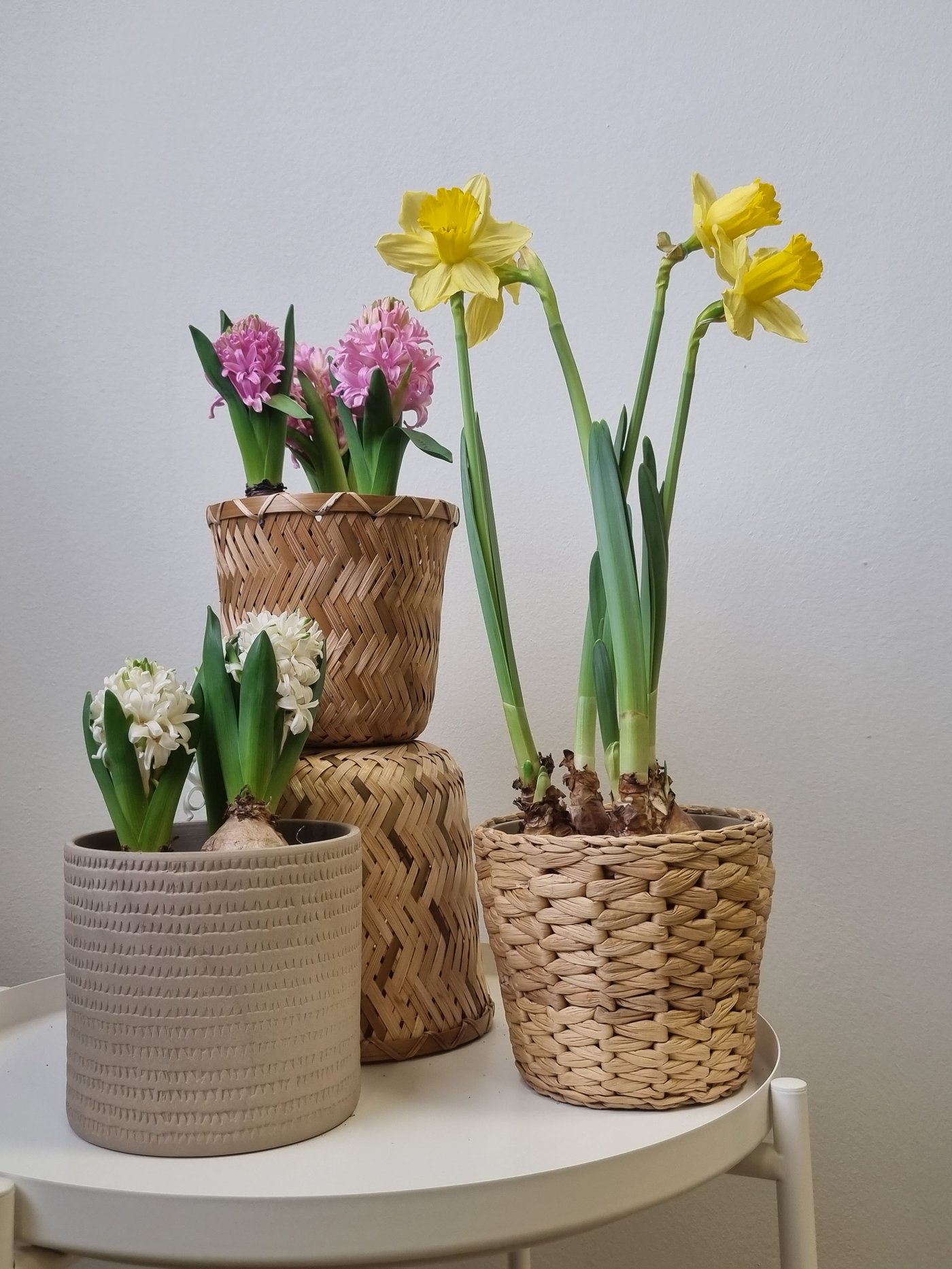 A handmade bamboo KLYNNON plant pot