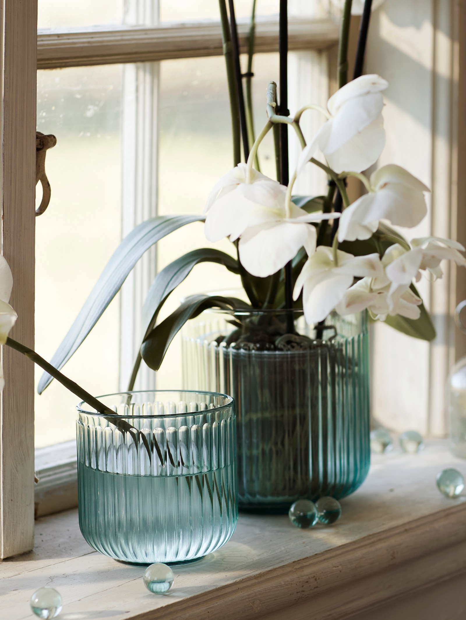 Plants, Plant Pots & Stands - IKEA CA