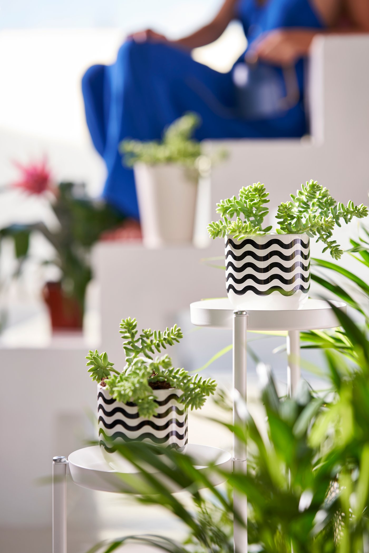 Tests barats en l'exterior