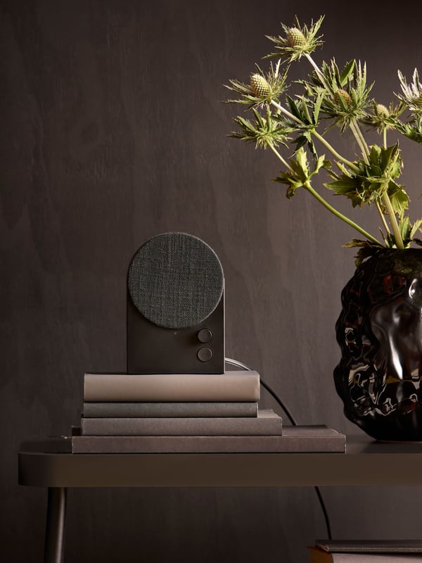 Black speaker on a pile of books, with a black vase next to it.