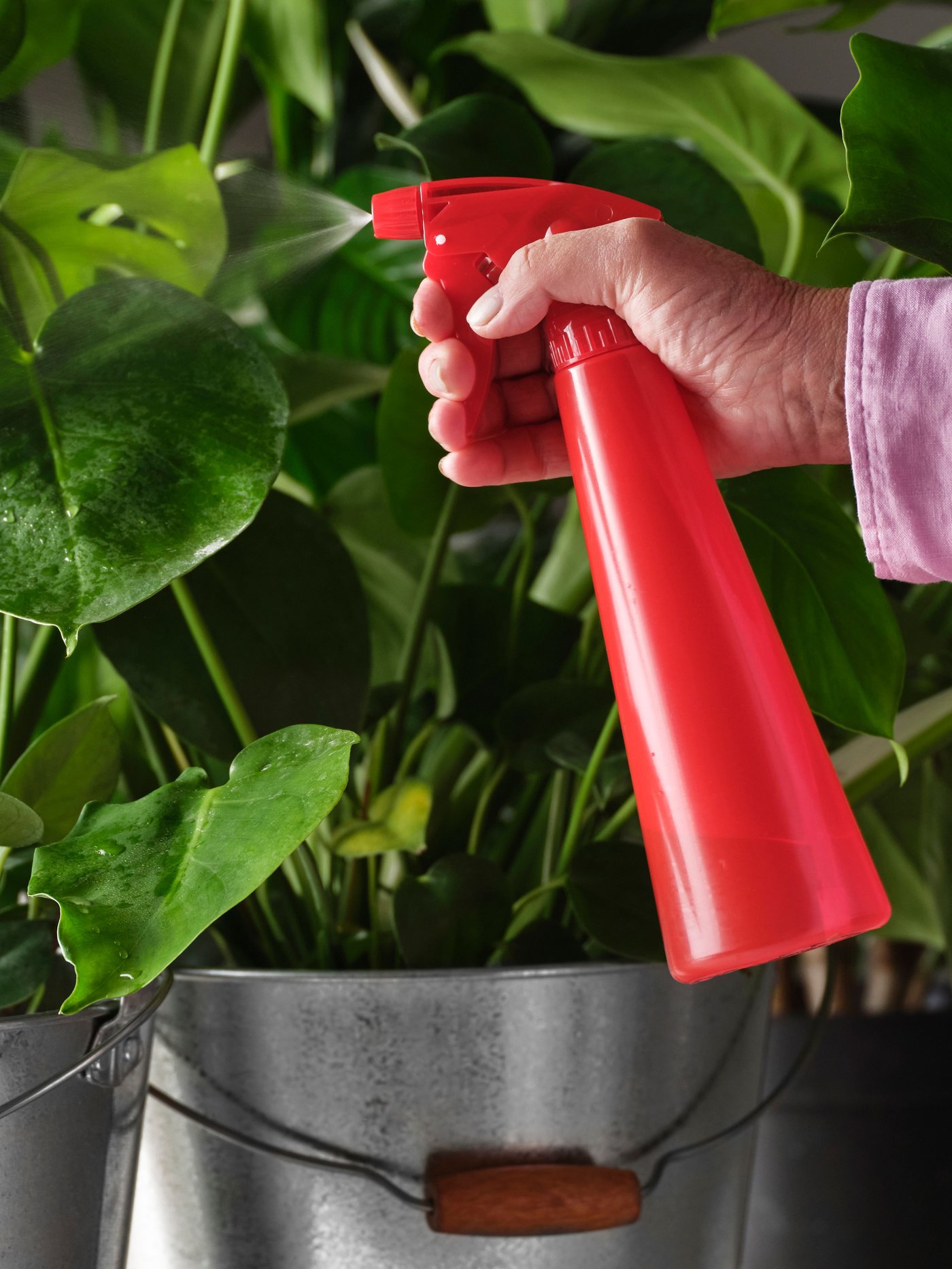 A bright red TOMAT spray bottle