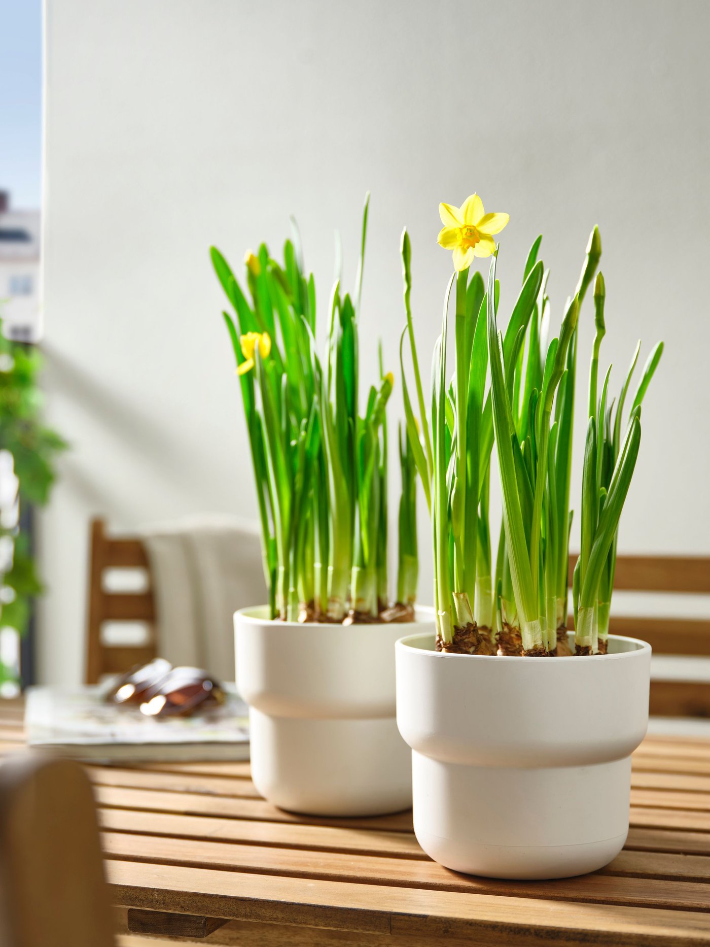 An in/outdoor white FÖRENLIG plant pot