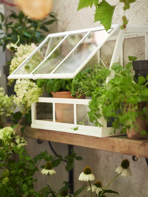 A white ÅKERBÄR greenhouse placed on a shelf in an outdoor environment. 