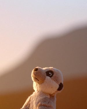 침구위에 서서 경계를 하는 미어캣 봉제 인형들의 모습.