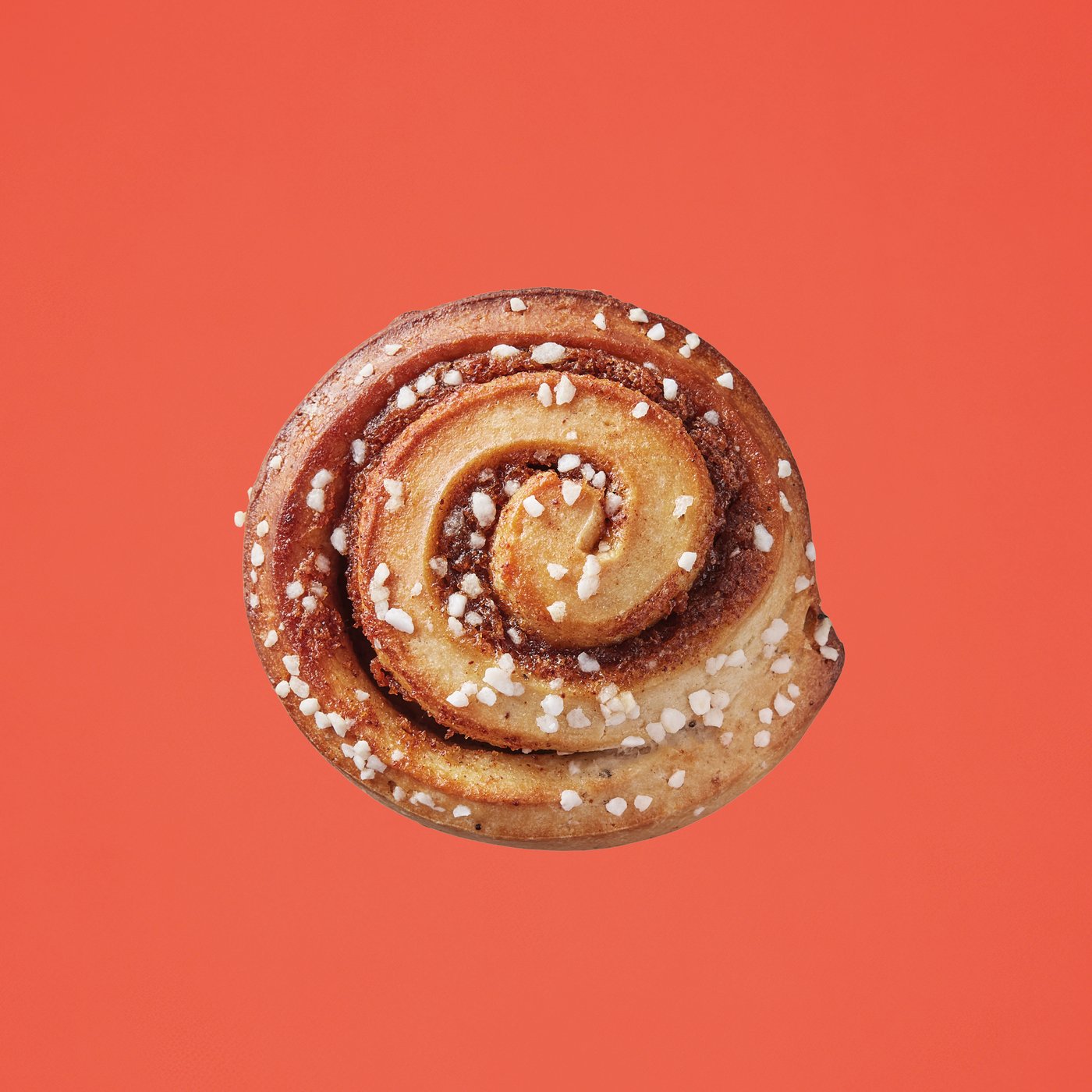 A cinnamon bun on a coral red background