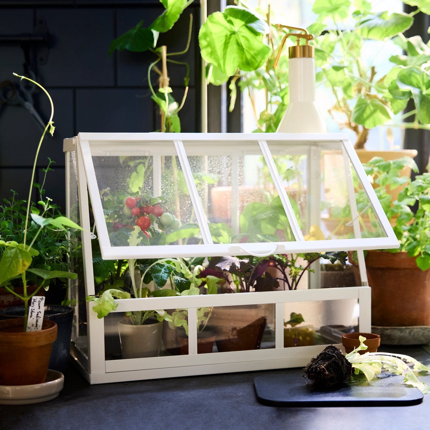 Une serre ÅKERBÄR blanche pour l’intérieur et l’extérieur