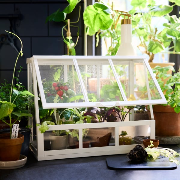 An in/outdoor/white ÅKERBÄR greenhouse