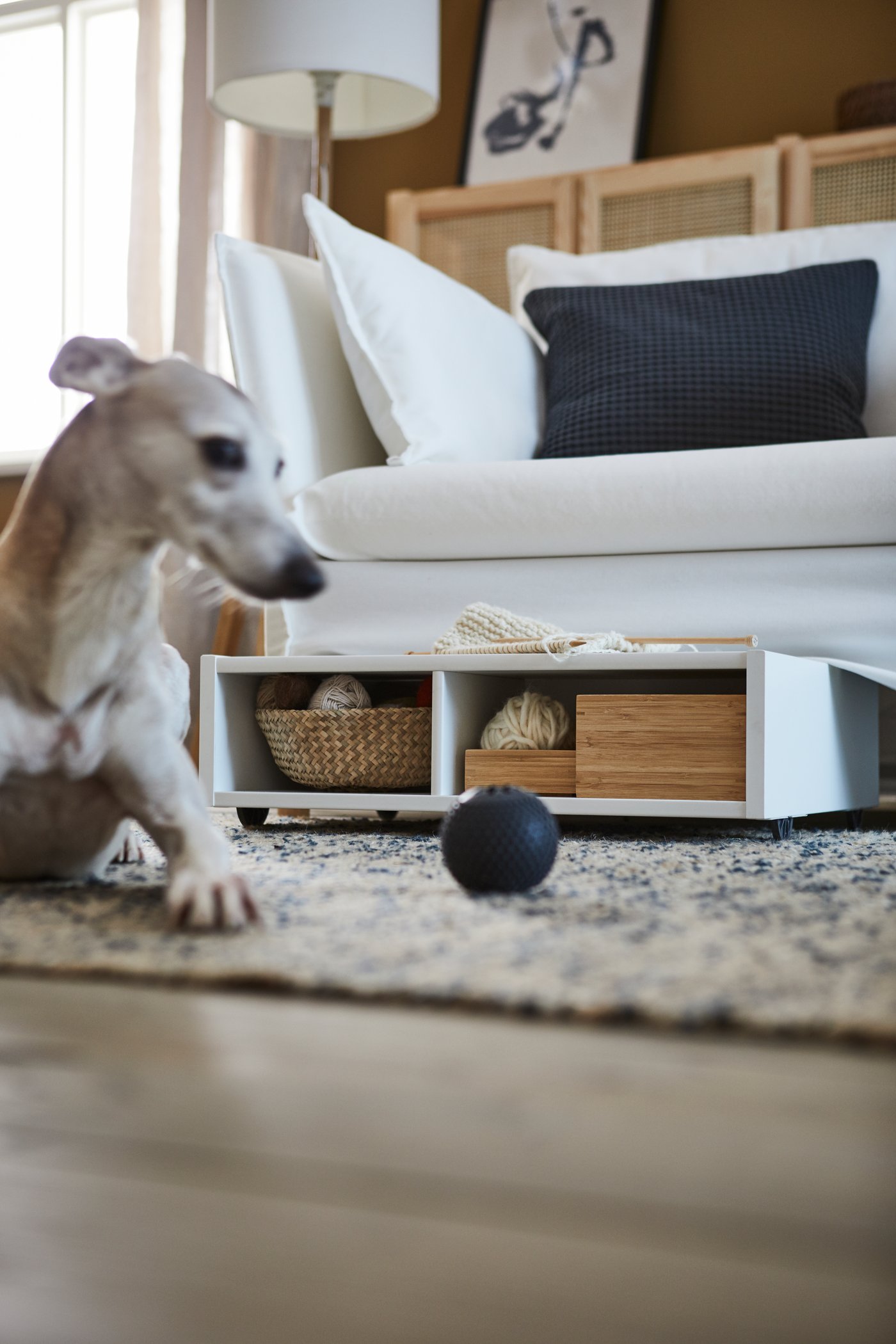 A white underbed storage/bedside table with castors with boxes and a basket inside under a sofa, a rug, a dog and a ball.