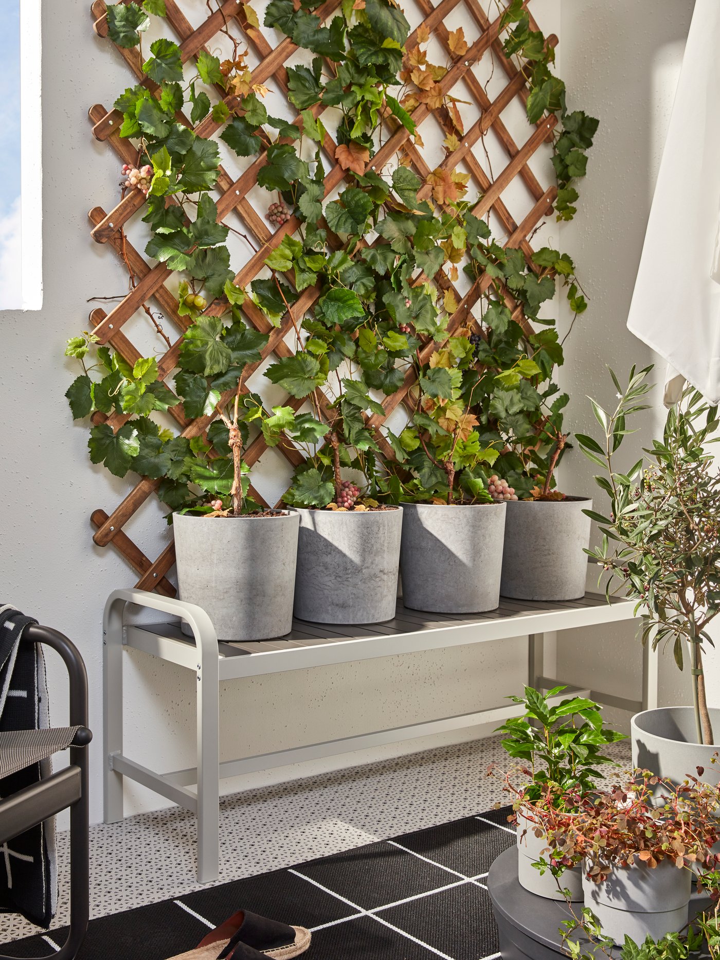 Pohled na roh balkonu, kde je ke zdi připevněná světle hnědá mříž ASKHOLMEN na popínavé rostliny. Pod ní je lavička SJÄLLAND se čtyřmi květináči BOYSENBÄR.