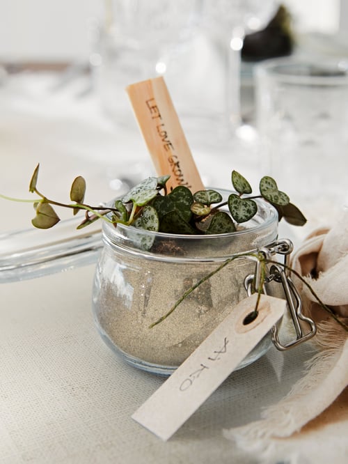 KORKEN/コルケン ガラス容器に小さなグリーンの植物を植えて、ネームタグを付け、メッセージを添えて、華やかなテーブルに置いてある。
