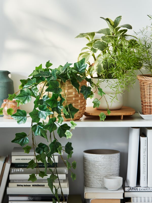 Estante con plantas de color verde al interior de un macetero.