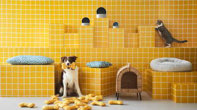 Pet products