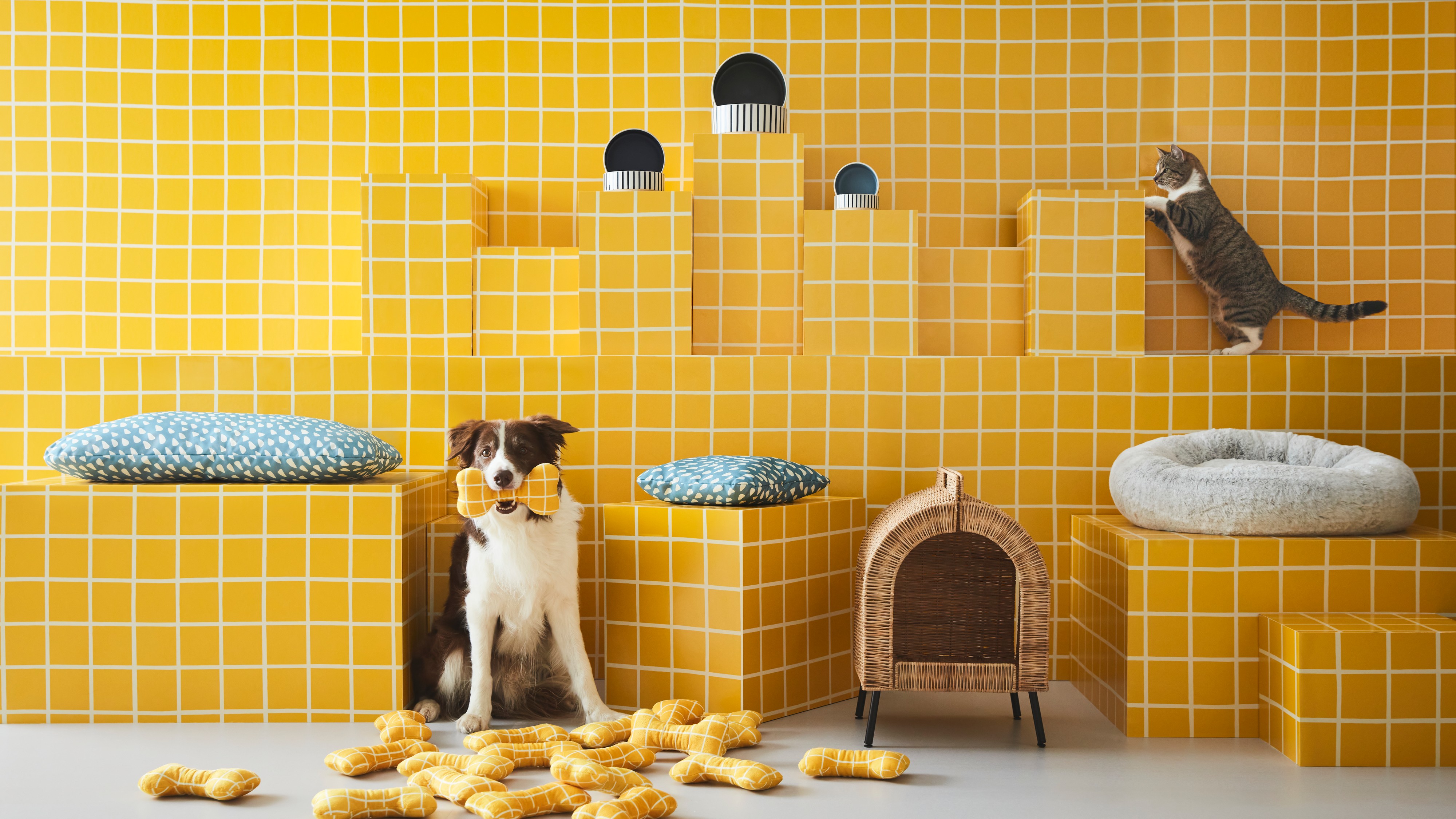 Товары для животных