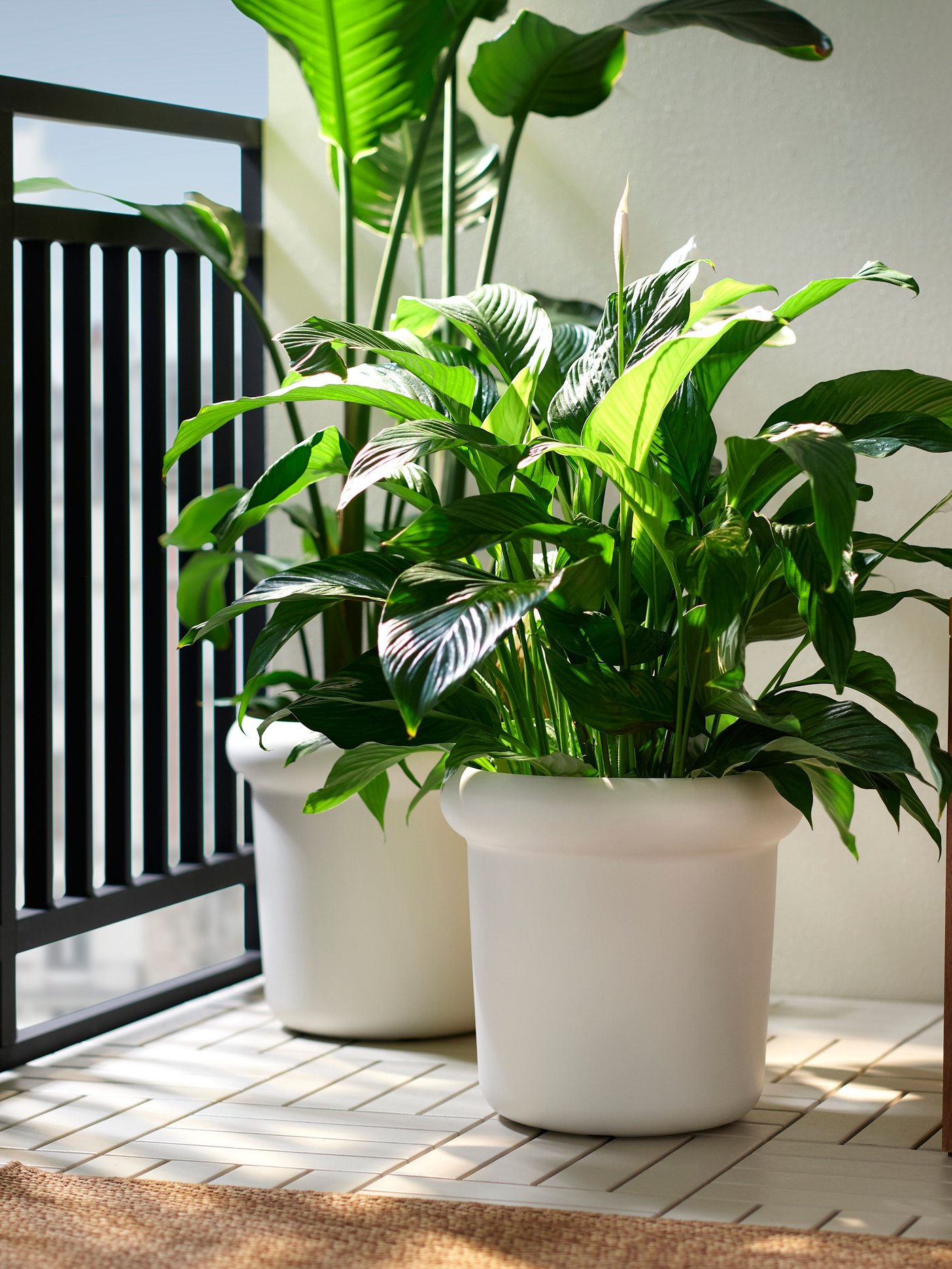 An outdoor/off-white MÅBÄRSBUSKE plant pot