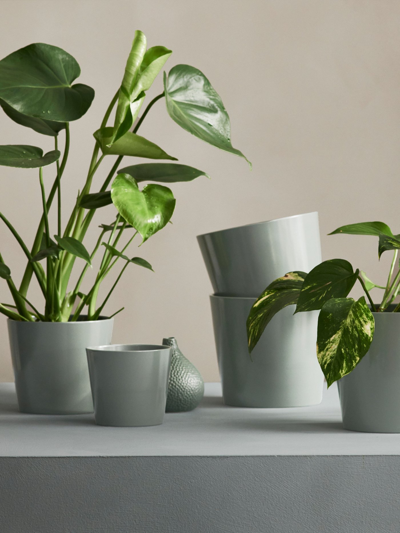 A grey/green SOJABÖNA plant pot