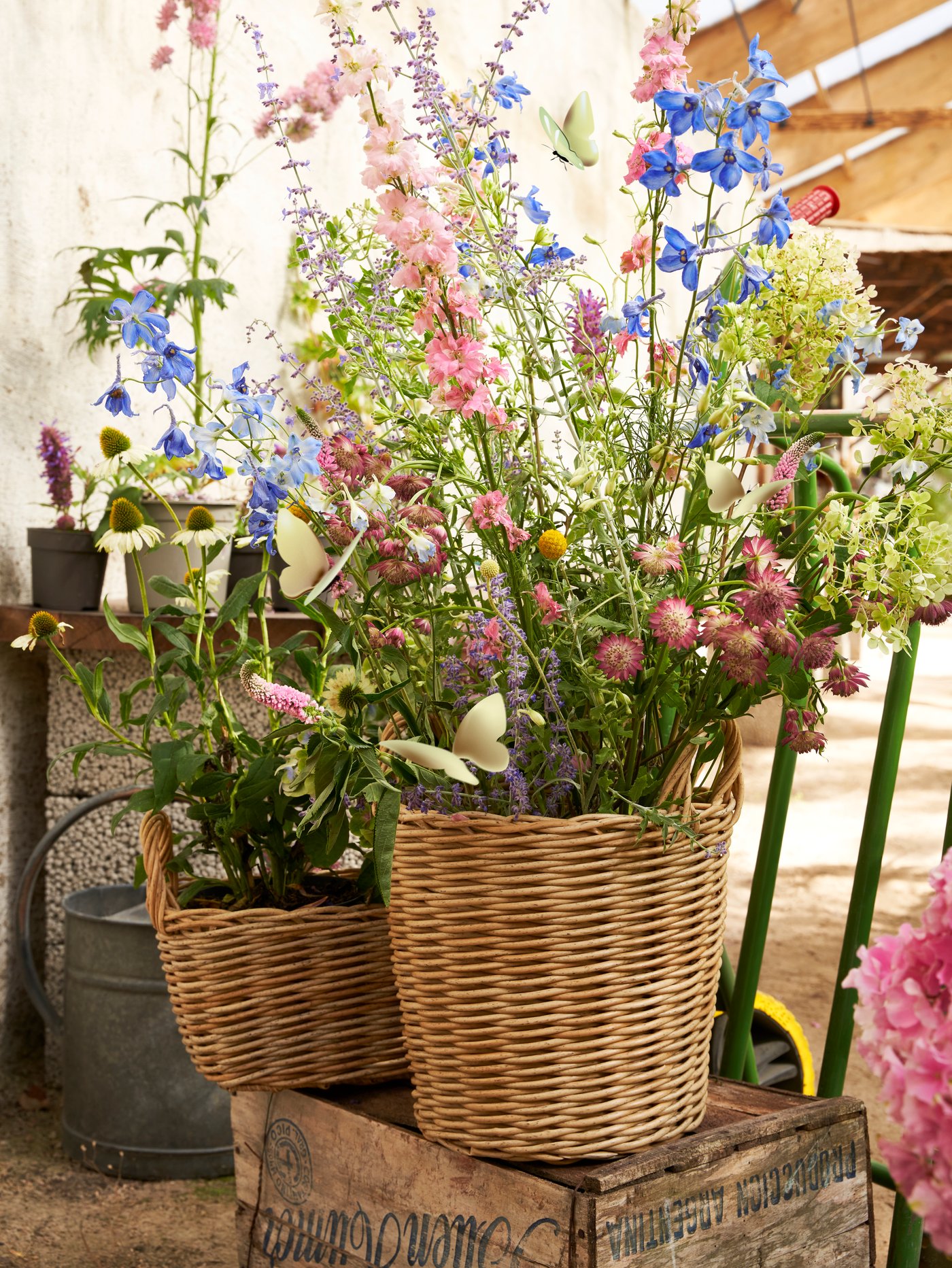 En inne/utendørs lys gråbrun FLODBJÖRK blomsterkasse.