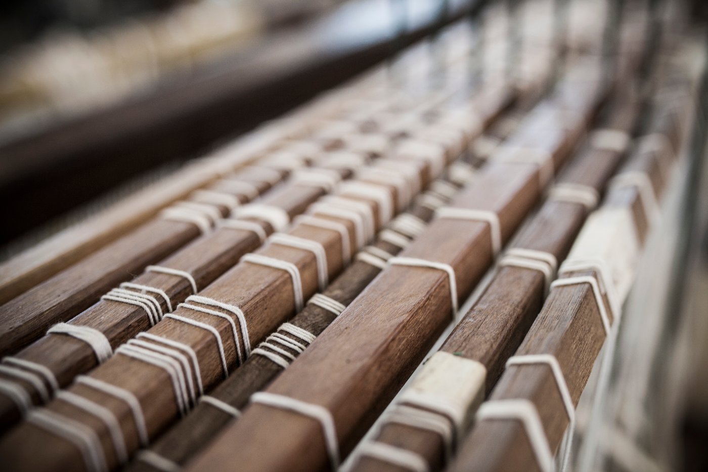 En närbild av träbjälkar eller plankor som är parallellt placerade. Bjälkarna har vit snöre eller rep lindat runt dem med jämna mellanrum, vilket skapar ett mönster. Fokus ligger på träets och snörets struktur och arrangemang.