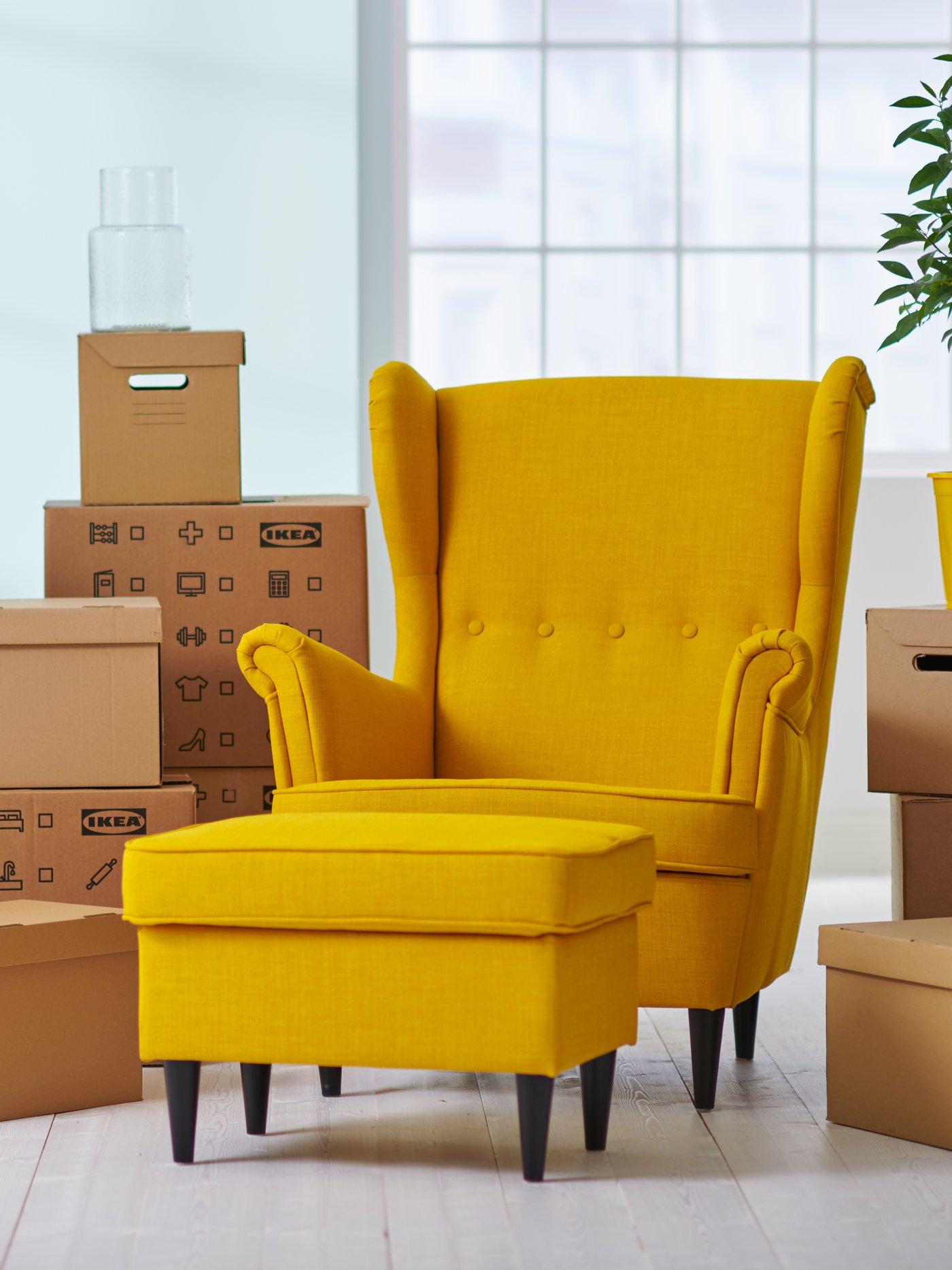 Track and manage order