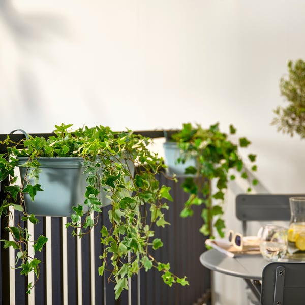 Artificial ivy vines climb over the sides of a turquoise ROSENKÅL flower box with holder that hangs inward on a balcony rail.