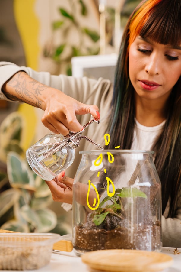 Una dona fa servir un ruixador de plantes SESAMFRÖN per regar una planta en un jardí dins un pot.