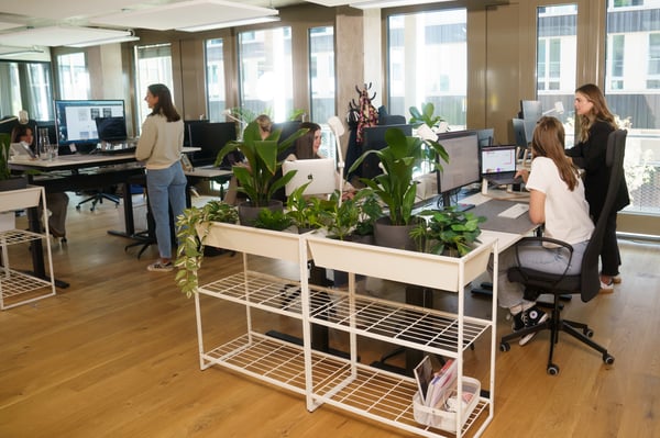 Mehrere Personen arbeiten auf einer modern eingerichteten Bürofläche mit einem Pflanzen-Regal im Vordergrund.
