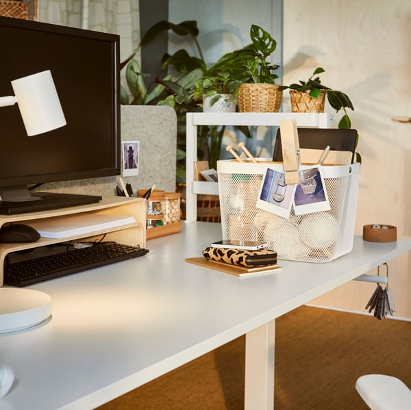 Ett svagt solsken i ett arbetsutrymme med ett TROTTEN sit-stand skrivbord, ett VATTENKAR laptopstativ och en RISATORP korg som håller tillbehör.