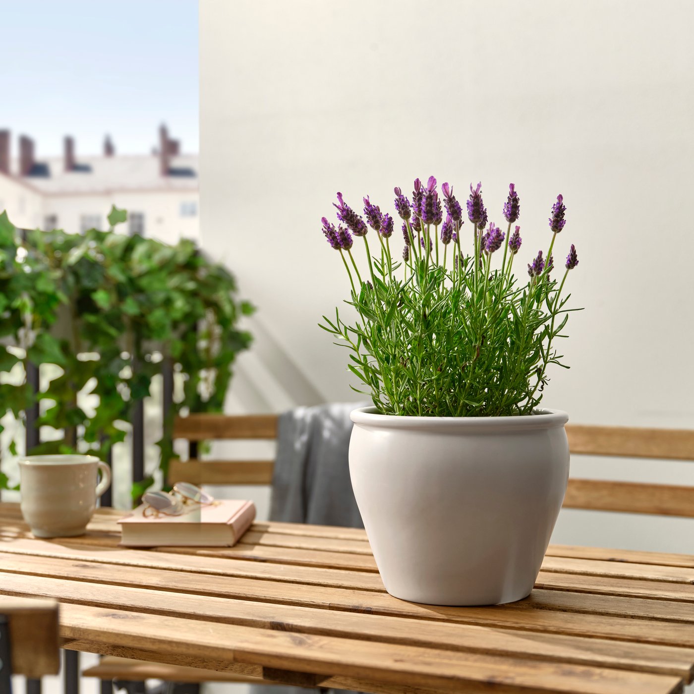 En lavandula krukväxt på ett balkongsbord.