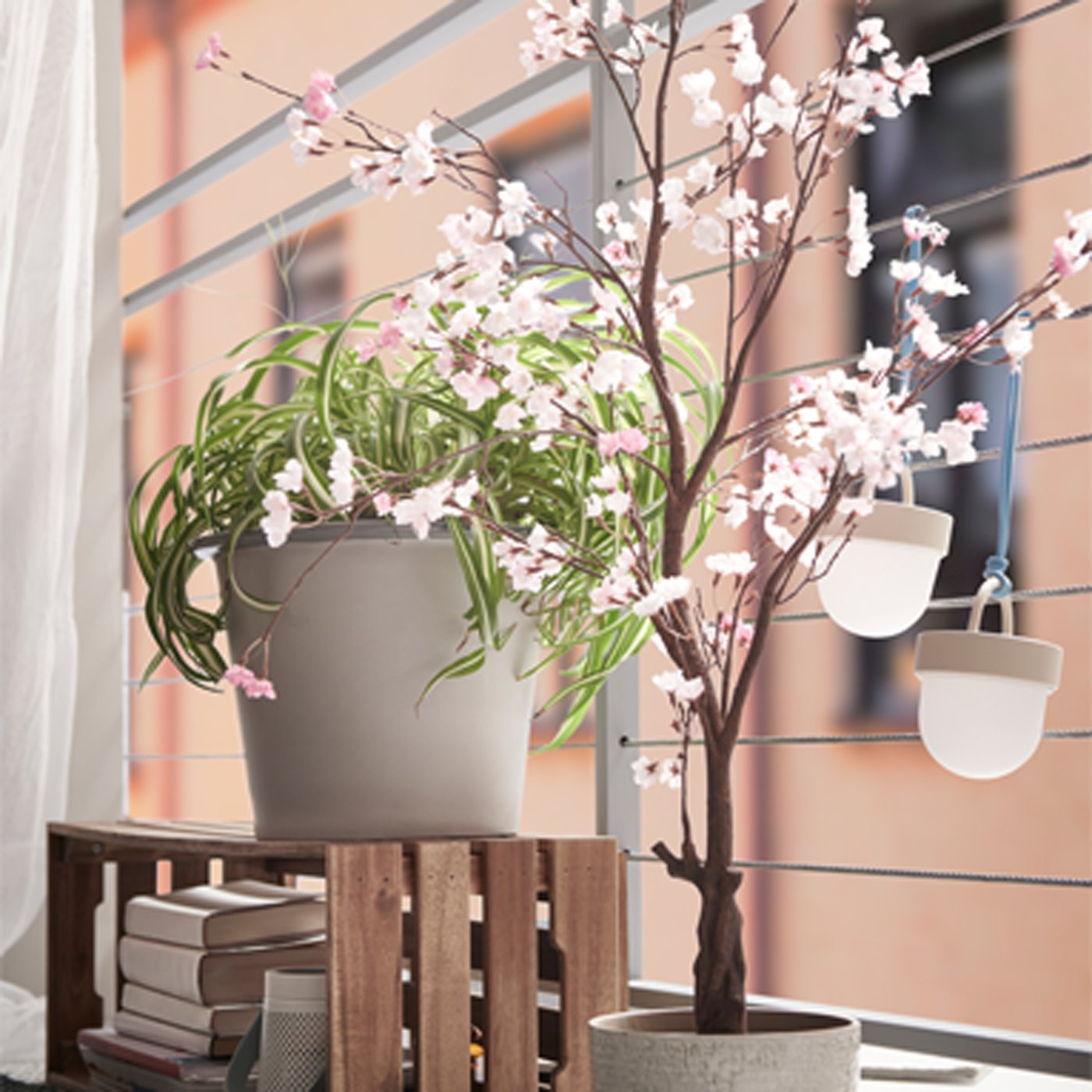 Side view of potted plants by the window ledge during the day.