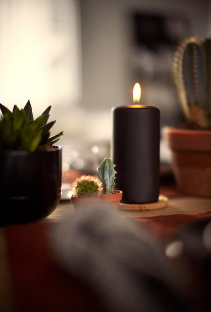 Brennende schwarze Kerze auf gedecktem Tisch, daneben Sukkulenten in Töpfen.