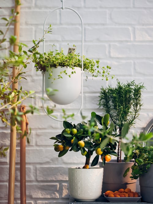 A close-up shot of a balcony that features a white hanging planter with a potted plant next to two plant pots.