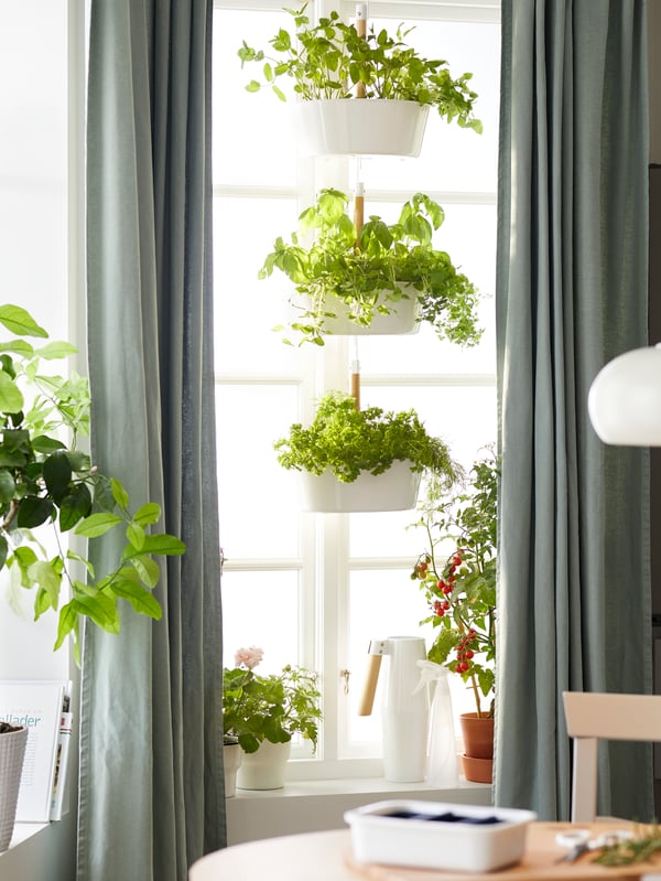 Kitchen interior with large windows dotted with edible plants, both on the sills and in a three-level hang planter.